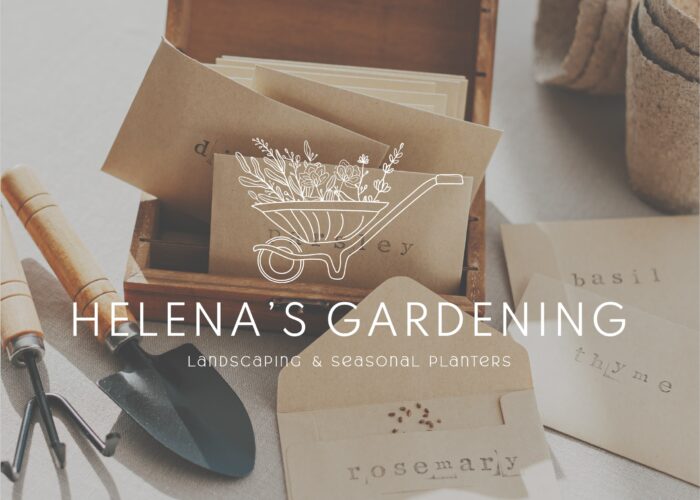 Brand Design Packages (Design Intensives + Custom Packages)
