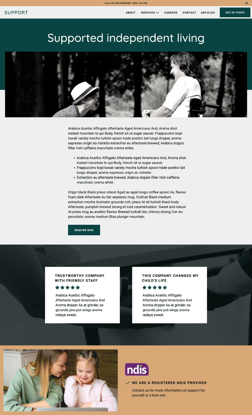 NDIS Showit Website Template - Image 4