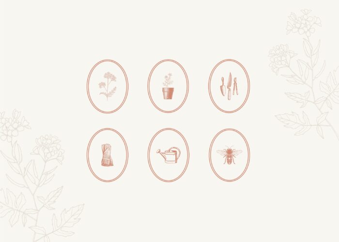Brand Styling