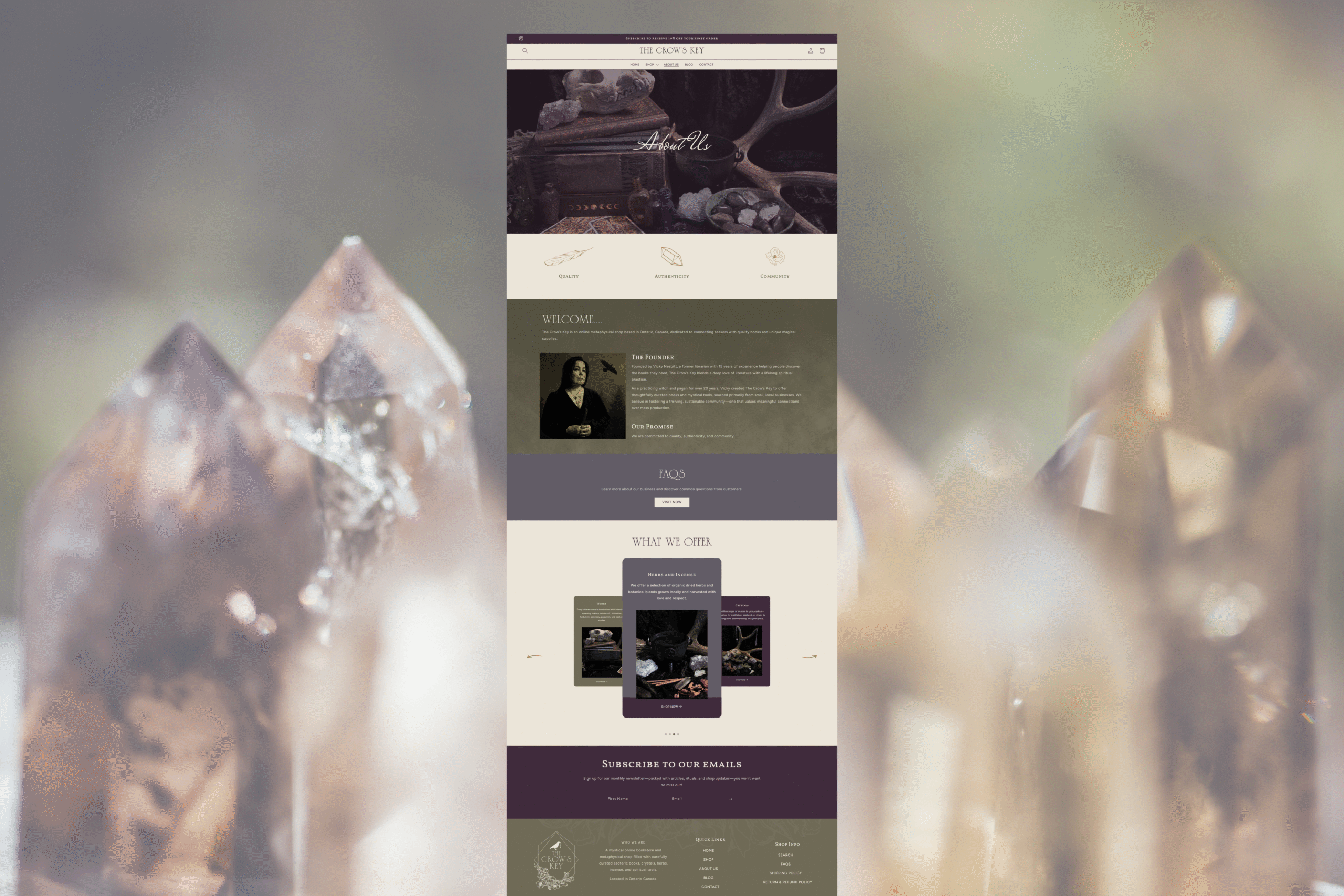 Shopify eCommerce Website Design