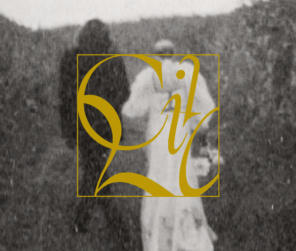 ( Brand Identity. )